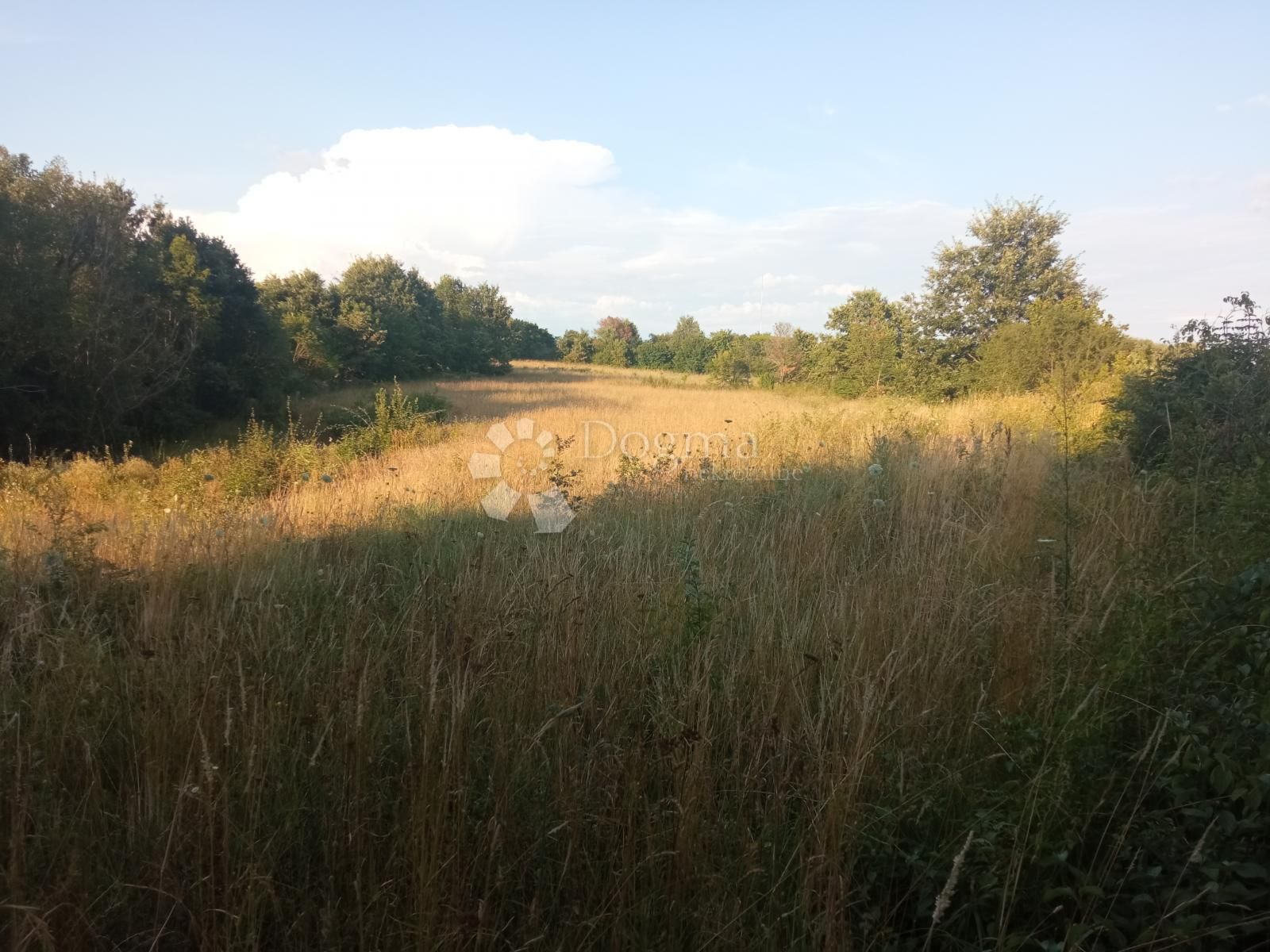 Fotografija