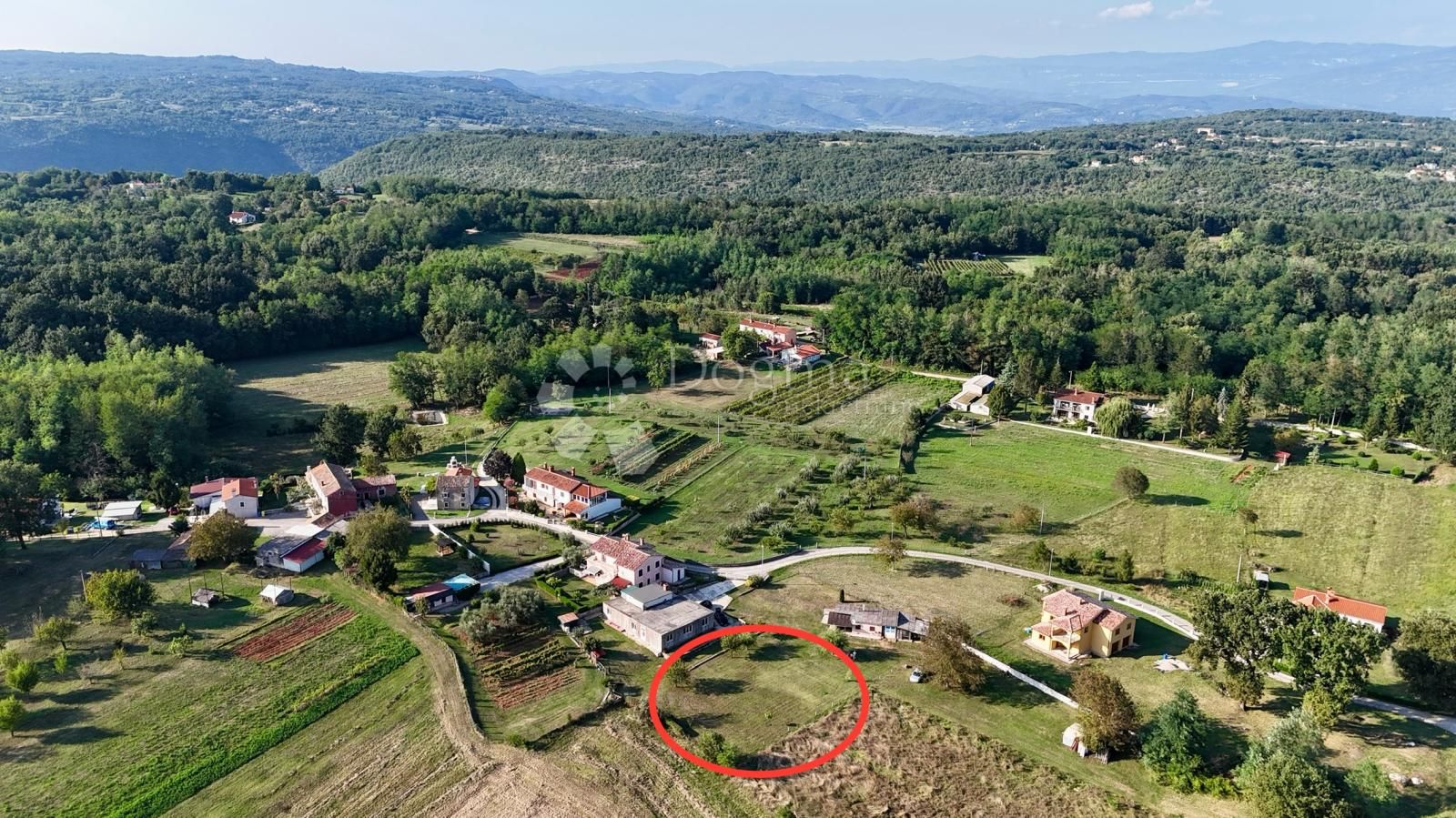 Fotografija