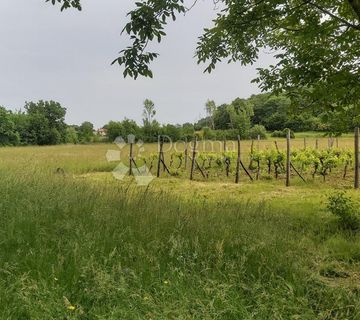 Poljoprivredno zemljište i vinograd - cover