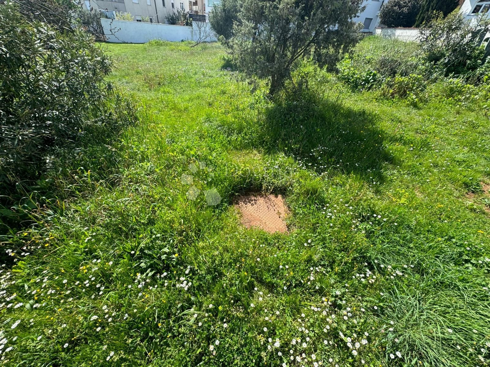 Fotografija