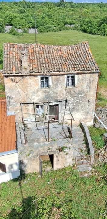 Fotografija