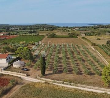 ZEMLJIŠTE S GRAĐEVINSKOM DOZVOLOM 800 METARA OD PLAŽE - cover