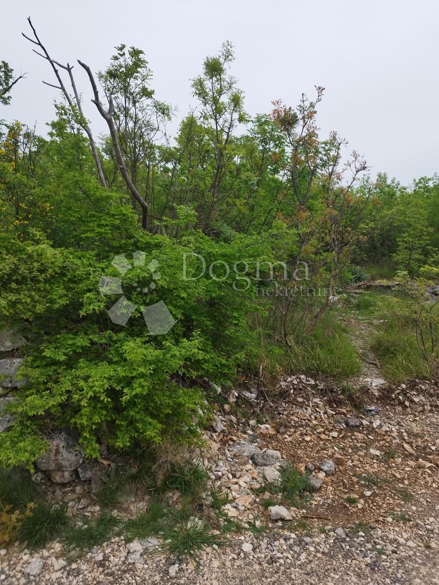 Fotografija