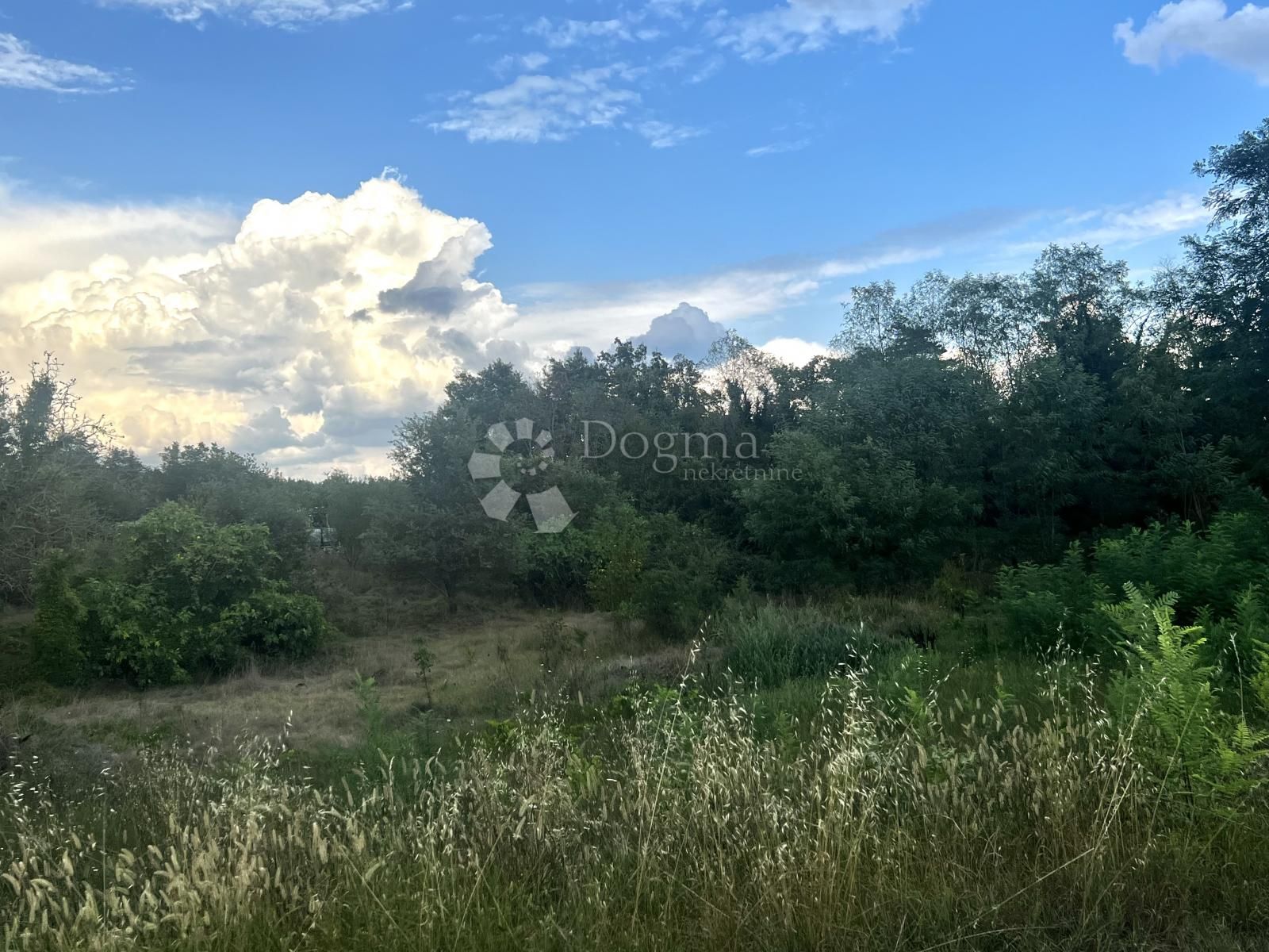 Fotografija