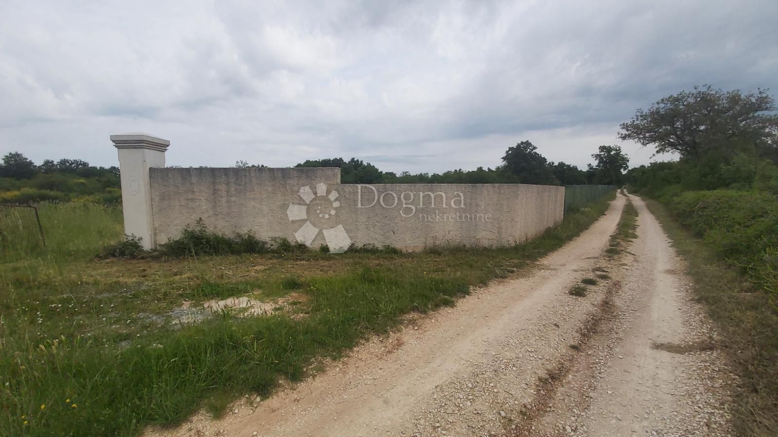 Fotografija
