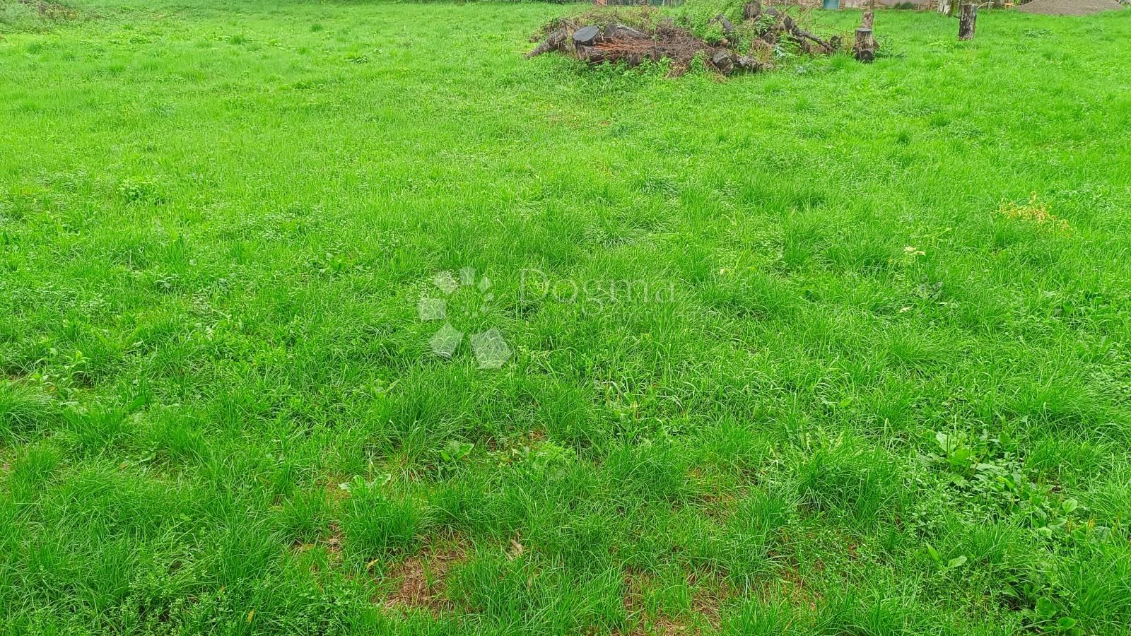 Fotografija