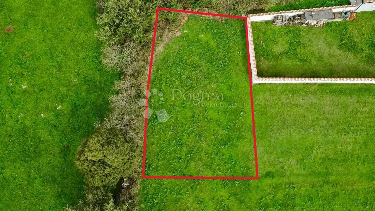 Fotografija