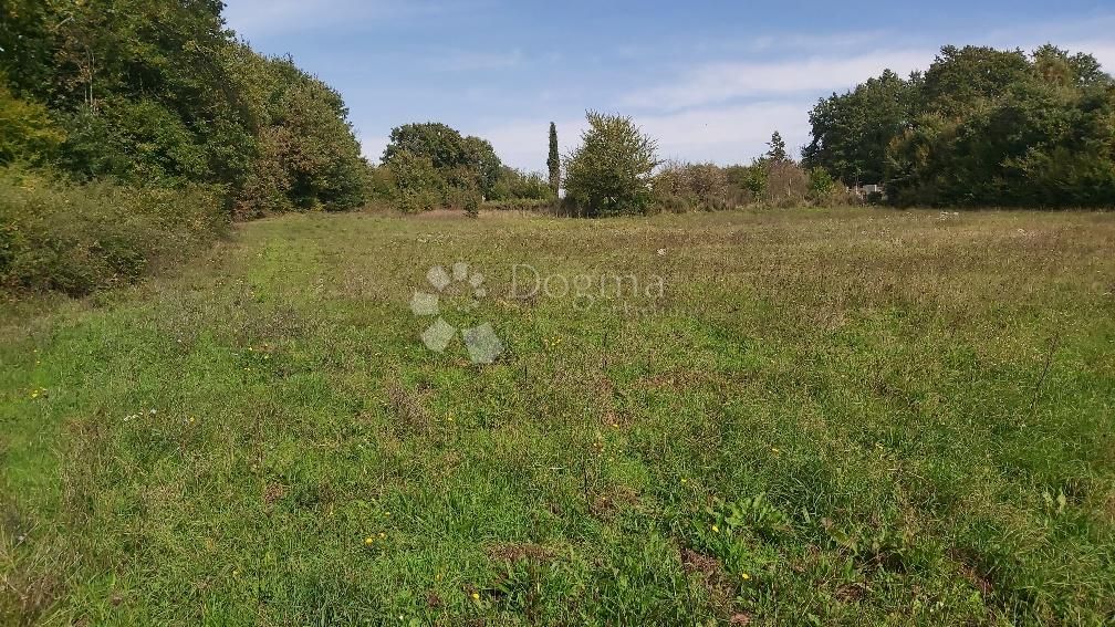 Fotografija