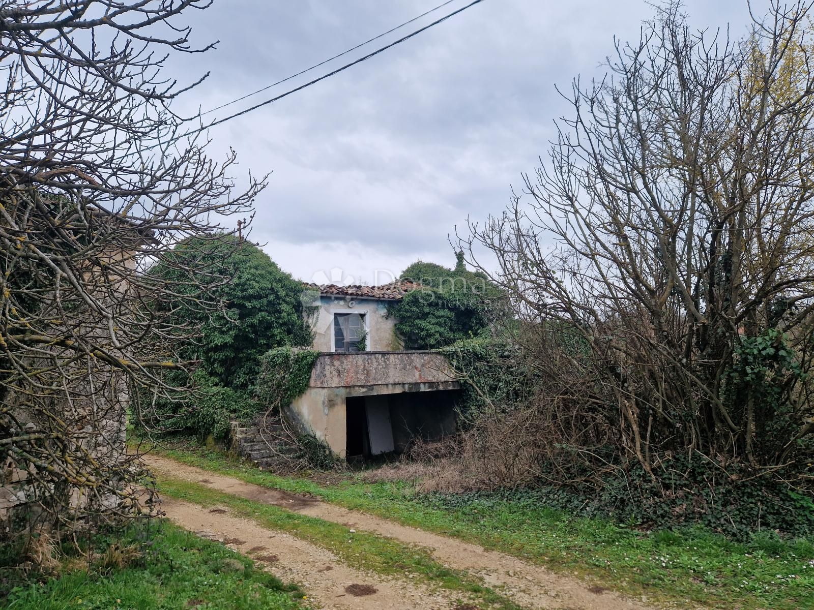 Fotografija