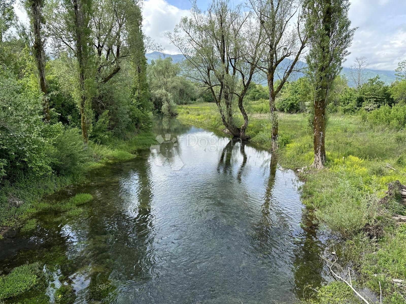 Fotografija