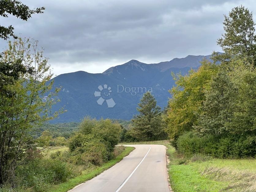 Fotografija