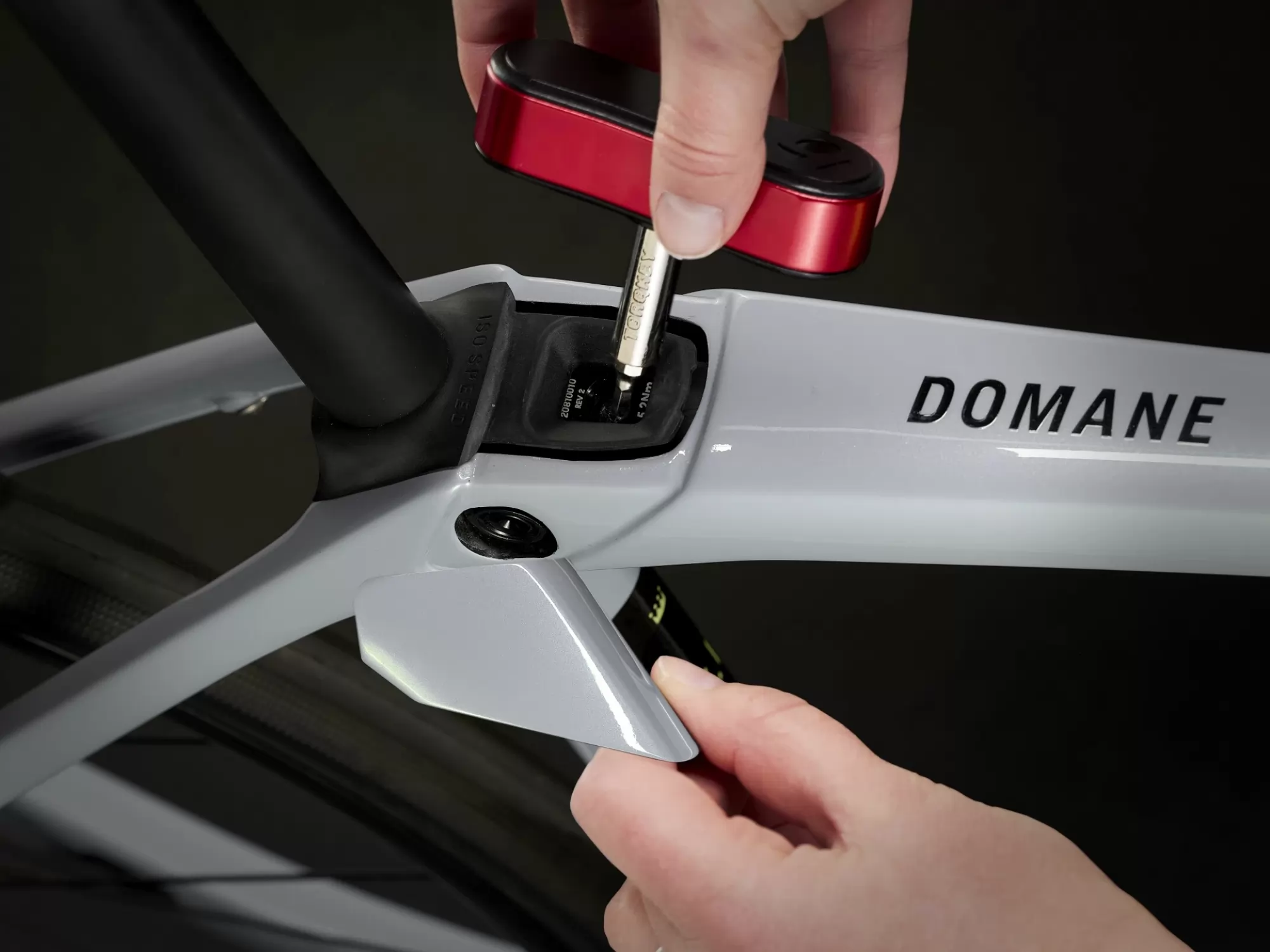 domane-sl-5-gen-4-2024-grey-pearl-37531-170499422106
