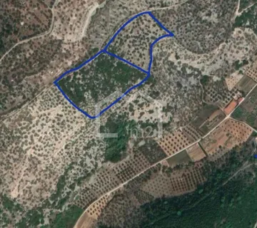 Maslinik, DOL Strmina , Brač - cover