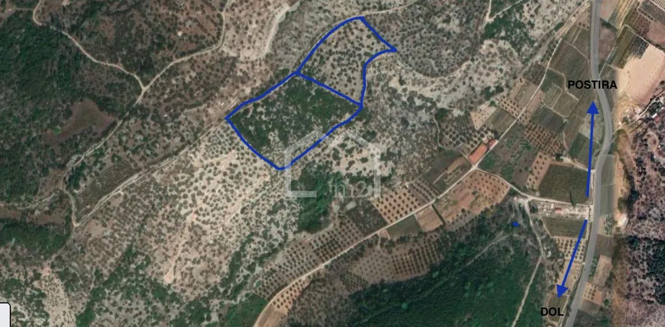 Maslinik, DOL Strmina , Brač - cover