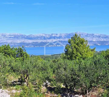 Maslinik, Mirca,brač - Mirca, Supetar