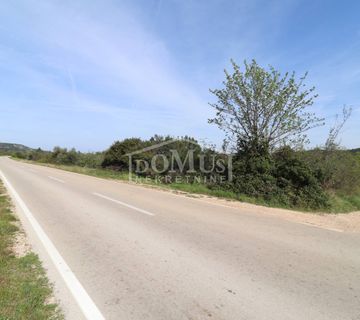 Ivinje, poljoprivredno zemljište, površine 12.080 m2 - cover