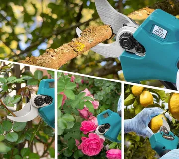 Električne škare za grane s teleskopskom drškom - cover