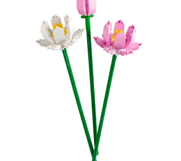 LEGO Botanicals Lotus Flowers 40647 - cover