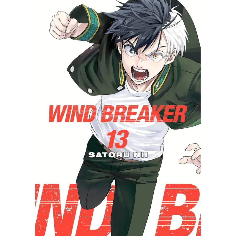Wind Breaker vol. 13 - cover