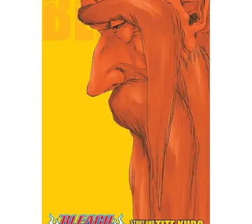Bleach 3-in-1 vol. 20 - Zaprešić