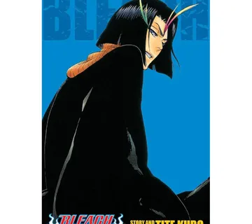 Bleach 3-in-1 vol. 13 - Zaprešić