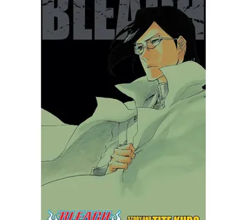 Bleach 3-in-1 vol. 24 - Zaprešić