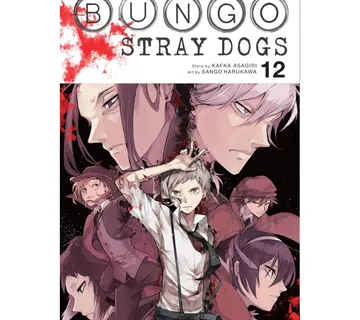 Bungo Stray Dogs, vol. 12 - cover