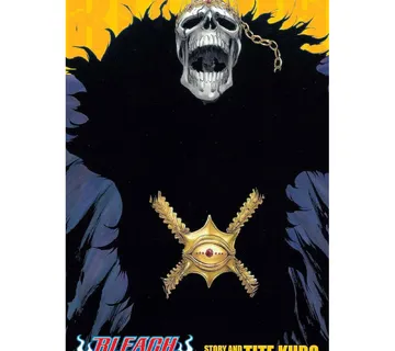 Bleach 3-in-1 vol. 15 - Zaprešić