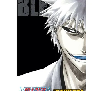 Bleach 3-in-1 vol. 9 - Zaprešić