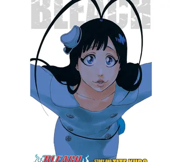 Bleach 3-in-1 vol. 22 - Zaprešić