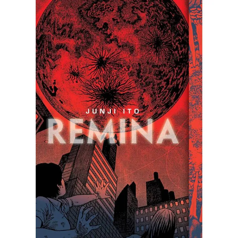 Remina - cover