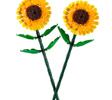 LEGO Botanicals Sunflowers 40524 - cover