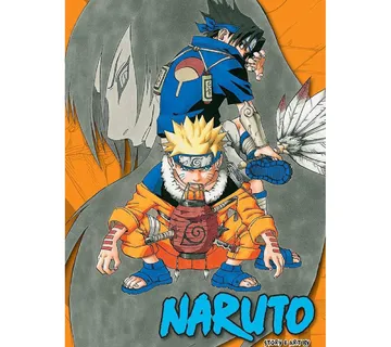 Naruto 3-in-1 Edition vol. 3 - cover