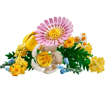 LEGO Botanicals Petite Sunny Bouquet 10347 - cover