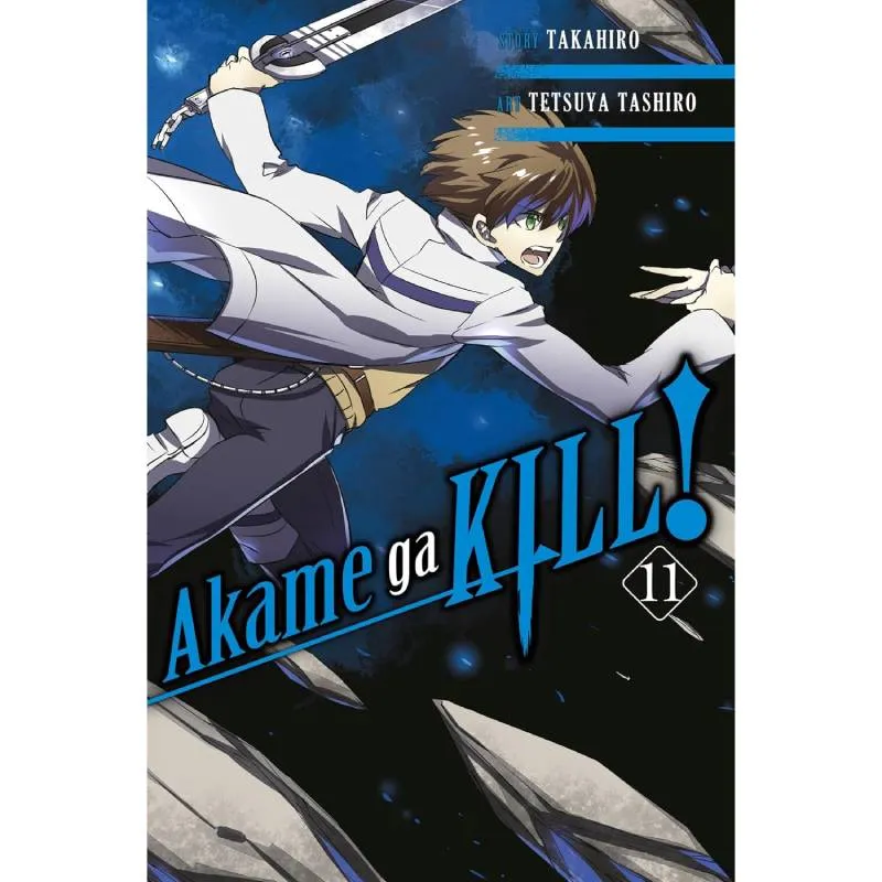 Akame ga KILL! vol. 11 - cover
