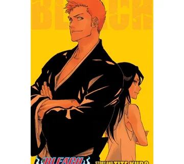 Bleach 3-in-1 vol. 25 - cover