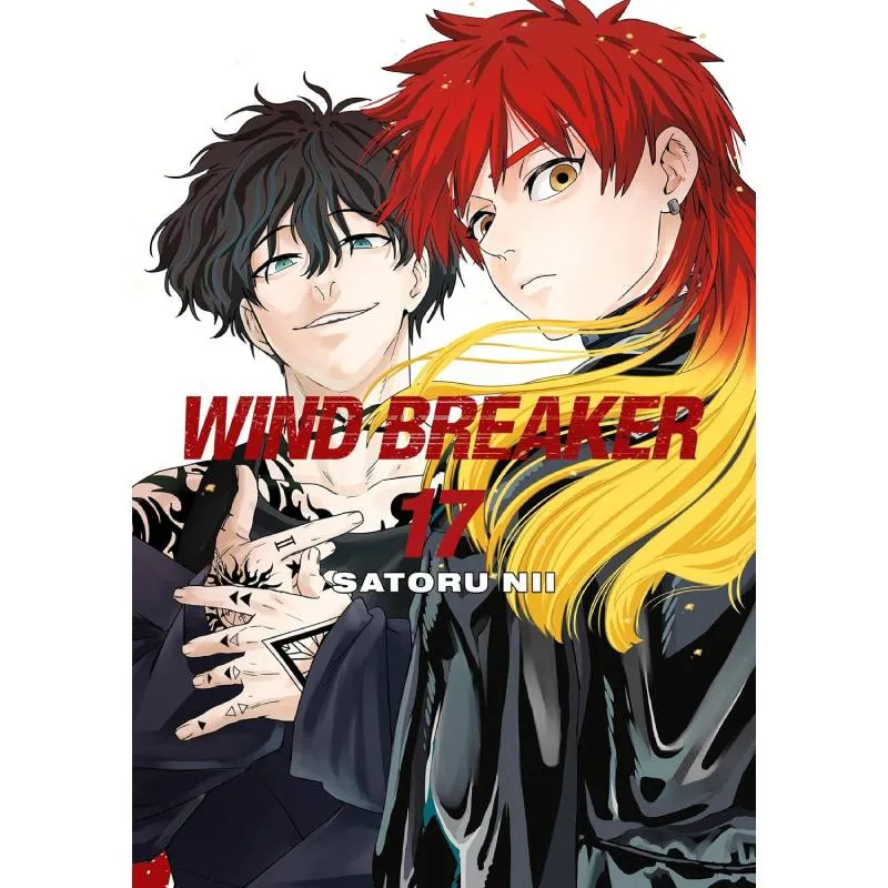 Wind Breaker vol. 17 - cover