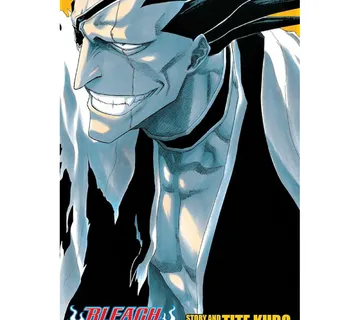 Bleach 3-in-1 vol. 5 - Zaprešić
