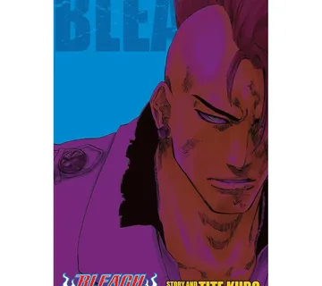 Bleach 3-in-1 vol. 23 - Zaprešić