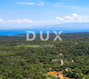 Mali Lošinj, Punta Križa, maslinik, 4260 m2 - Punta Križa, Mali Lošinj
