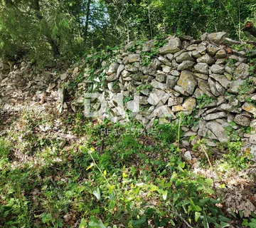 ISTRA, KRNICA Poljoprivredno zemljište ograđeno suhozidom - Krnica, Marčana