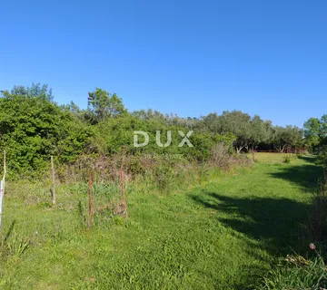 ZADAR, MURVICA - Poljoprivredno zemljište na mirnoj lokaciji 961 m2 - Murvica, Poličnik