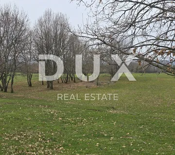 ISTRA, LABIN - Idilična livada