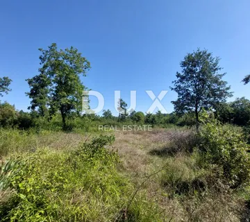 ISTRA, BARBAN - Građevinsko zemljište na rubu građevinske zone