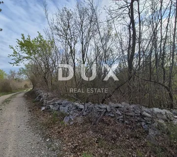ISTRA, LABIN - Mlada šuma od 4 hektara