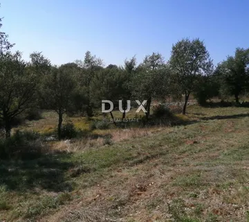 ISTRA, BALE - Idealno građevinsko zemljište 518m² - Krmed, Bale