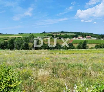 ISTRA, VIŽINADA - Građevinsko zemljište na traženoj lokaciji