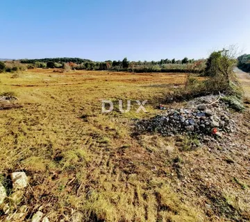 Istra, Rovinj, poljoprivredno zemljište, 7100m2
