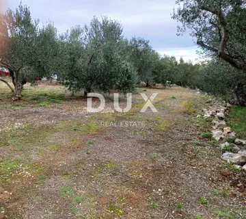 ZADAR, KUKLJICA - Prostrano građevinsko zemljište