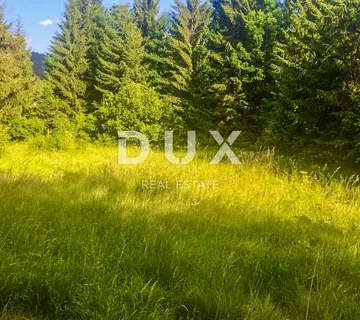 GORSKI KOTAR, DELNICE - građevinsko zemljište 2550 m2 - Lučice, Delnice
